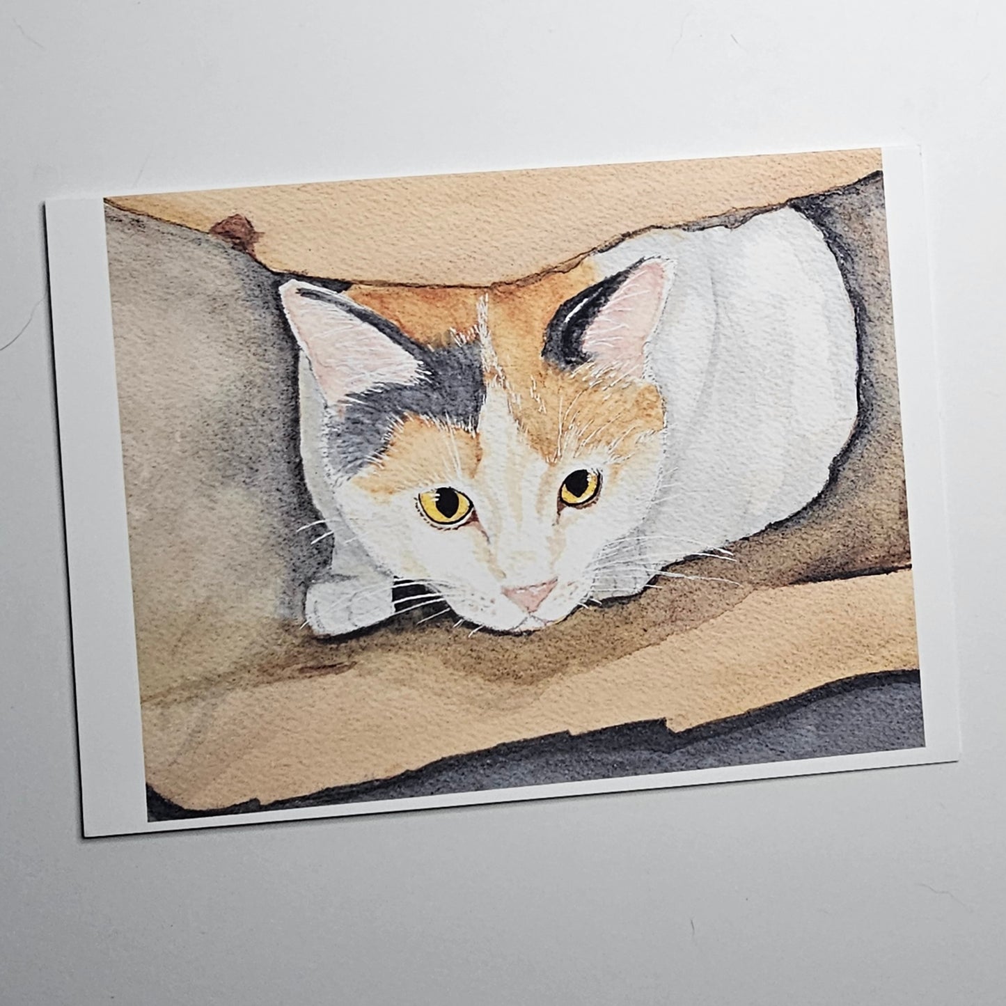 Cucumber the Cat 5"x7" Frameable Card