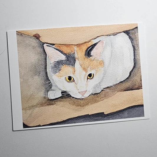 Cucumber the Cat 5"x7" Frameable Card