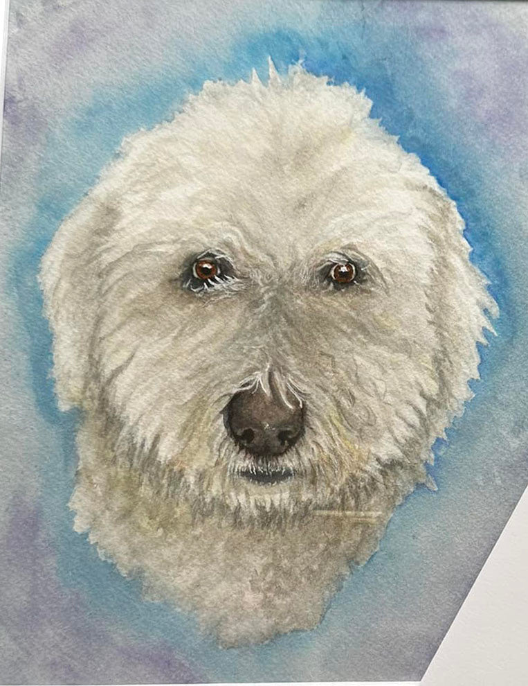 Custom Pet Portraits