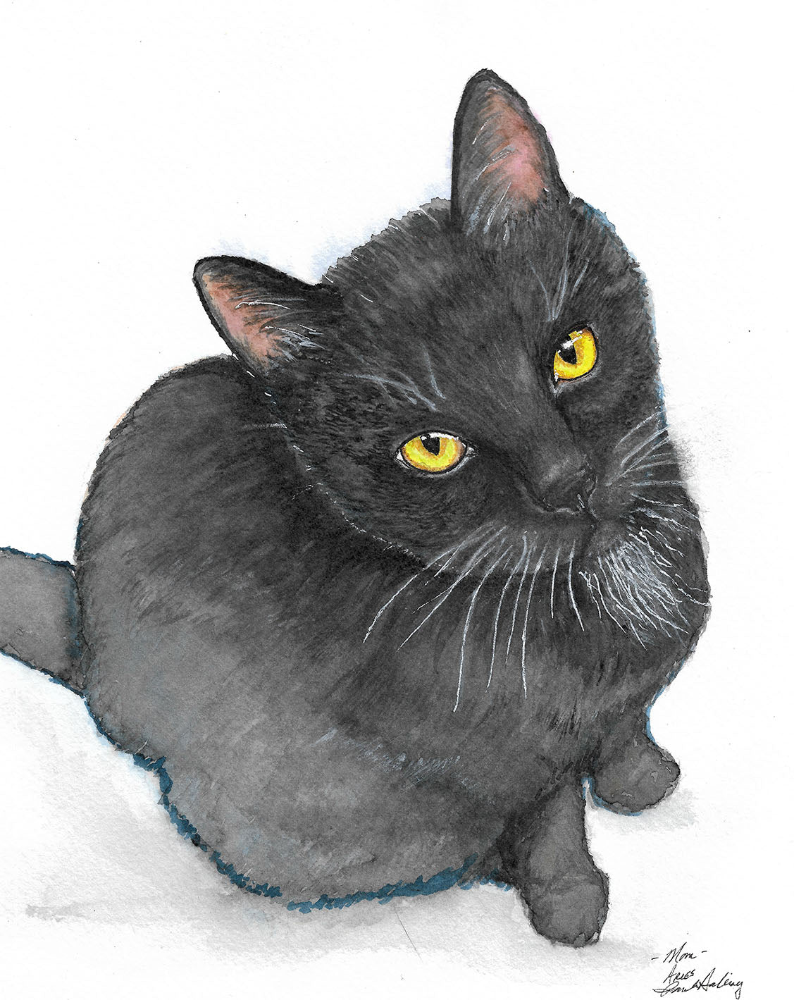 Custom Pet Portraits