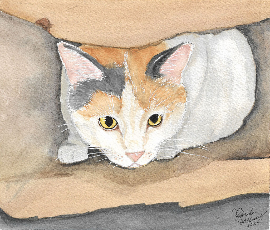 Custom Pet Portraits