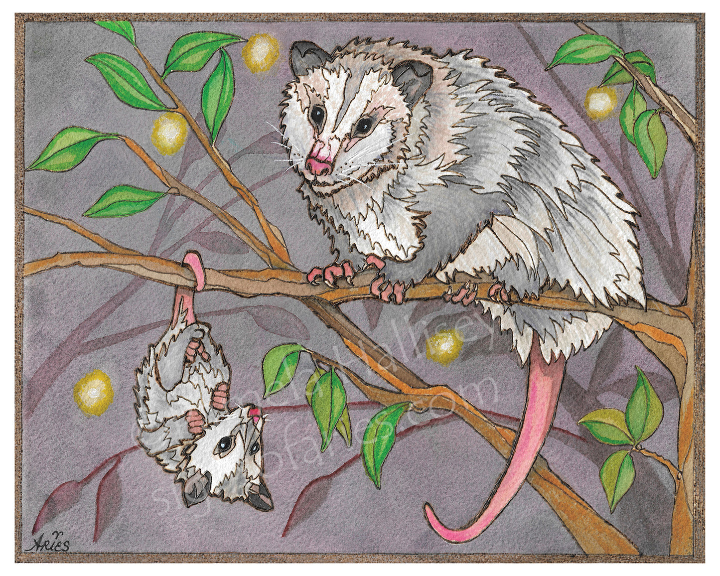"Mommy and Me" Original Opossum Art