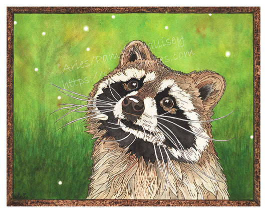 "Gazing Beauty" Raccoon and Monarch Companion Giclee Prints