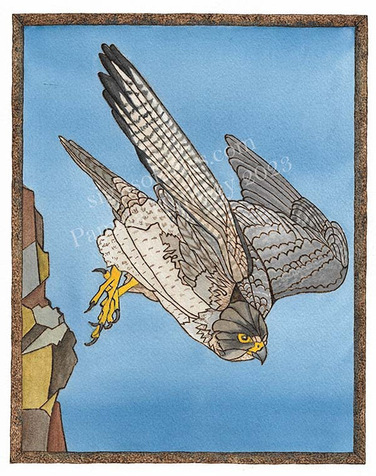 ORIGINAL"Cliff Dive" Peregrine Falcon Art